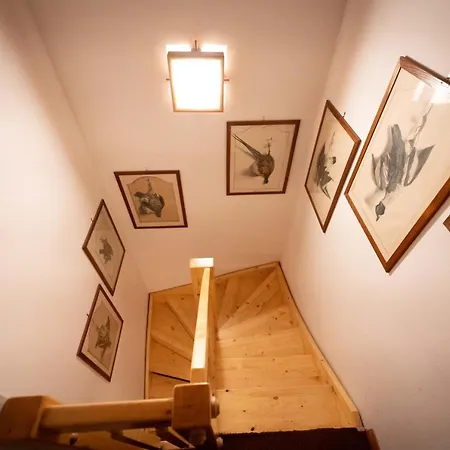 Cesa Monti Pallidi 1 Apartment