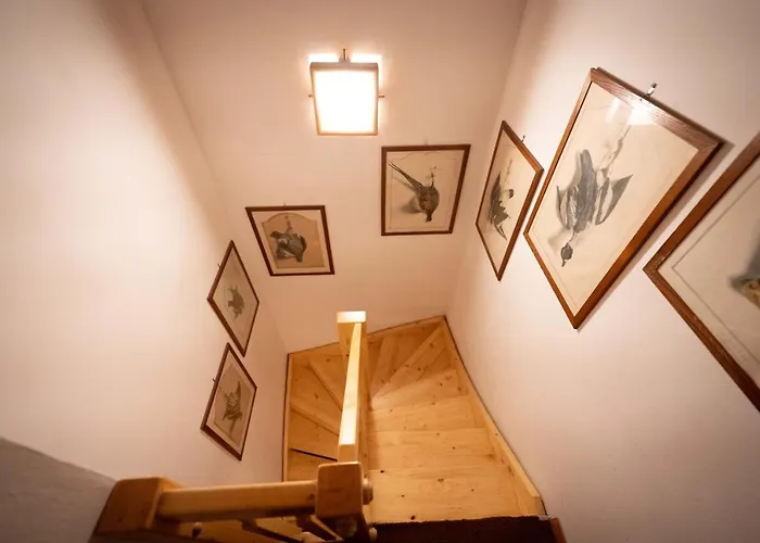 Cesa Monti Pallidi 1 Appartamento